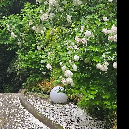 Pensión L'ortensia Della Isabella, Con Vista Lago, Balcone Sul Parco E Bagno Esclusivo All'esterno Della Stresa