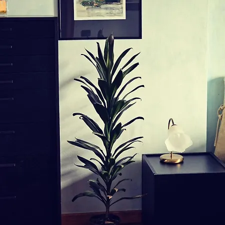 Guest house Isabella: Lakefront With Park View Balcony *