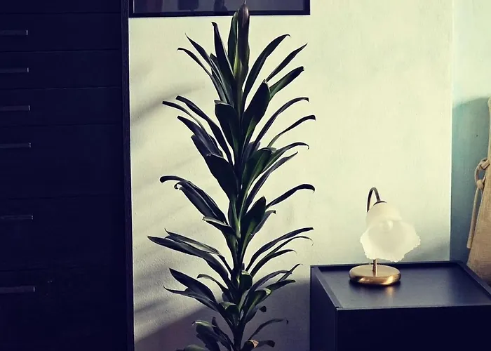 Konukevi The Ortensia, Our With View, Spacious Park-facing Balcony And Private External Bathroom At The Isabella 3*