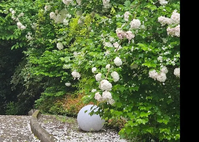 Pensión The Ortensia, Our With View, Spacious Park-facing Balcony And Private External Bathroom At The Isabella Stresa